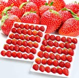 贈答用いちごのおすすめ人気ランキング【2026年9月】 5