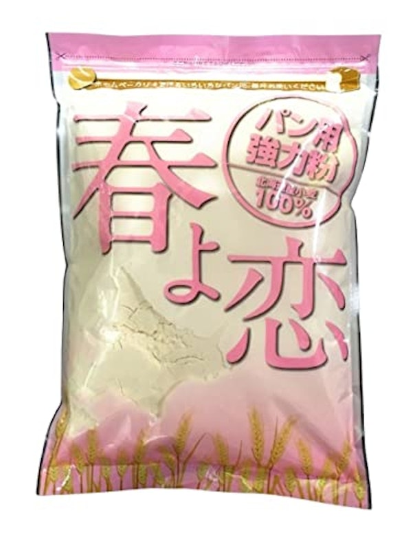 春よ恋 1