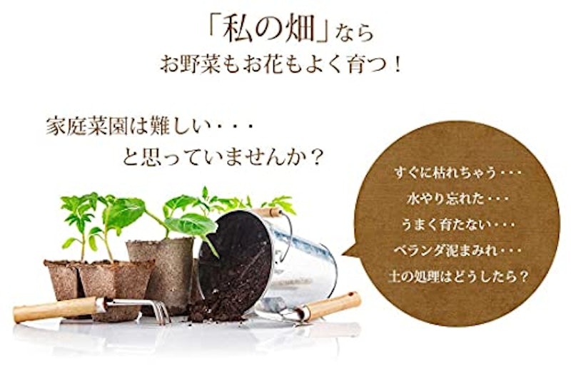 私の畑 3