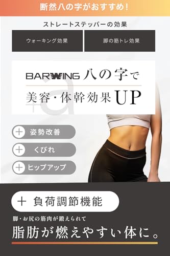 ステッパー 3