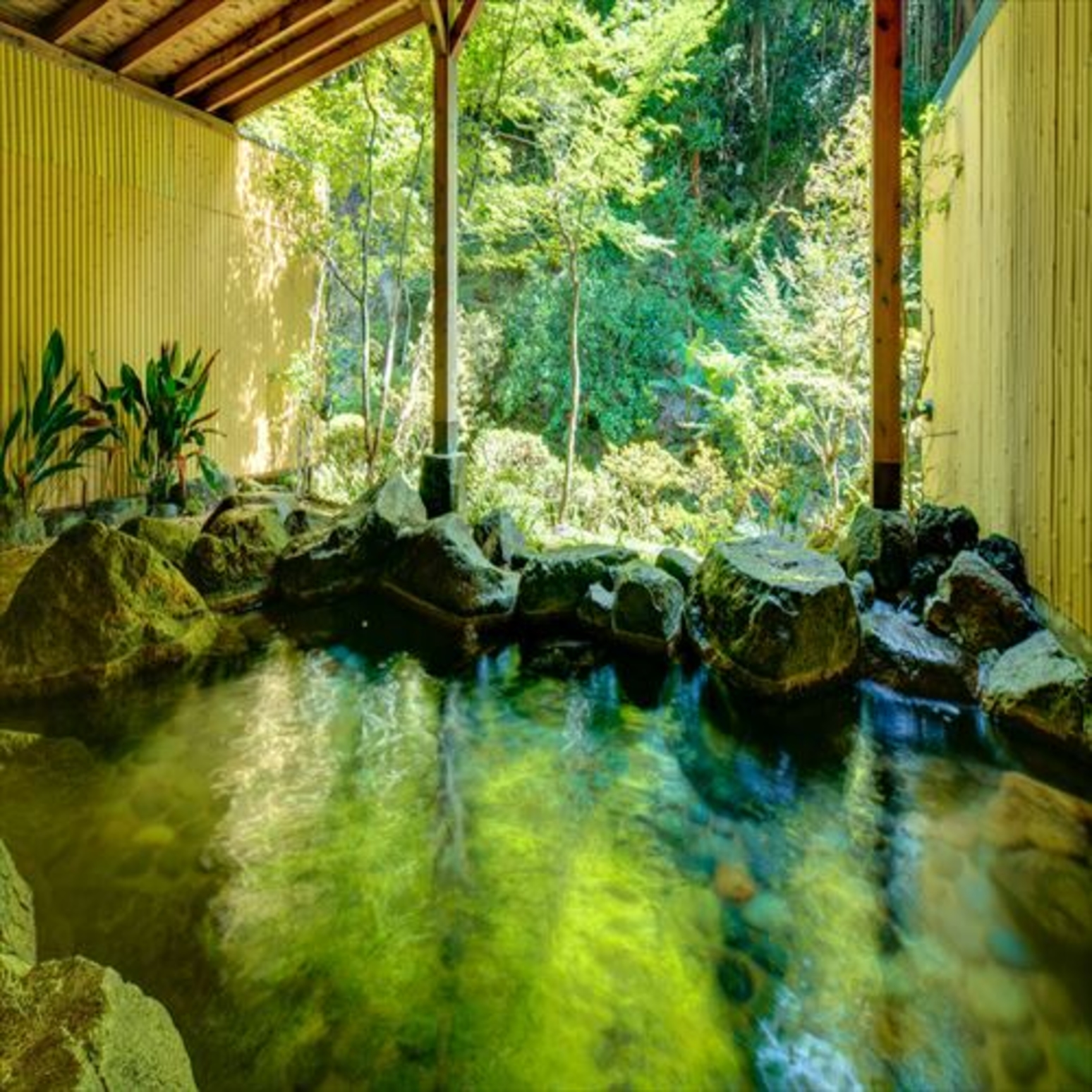 筑波山江戸屋 11