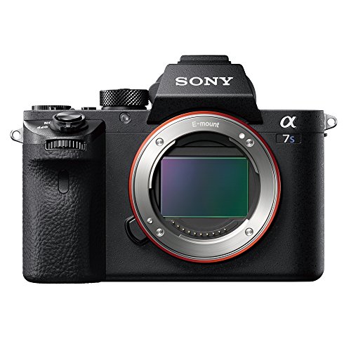 α7S 1