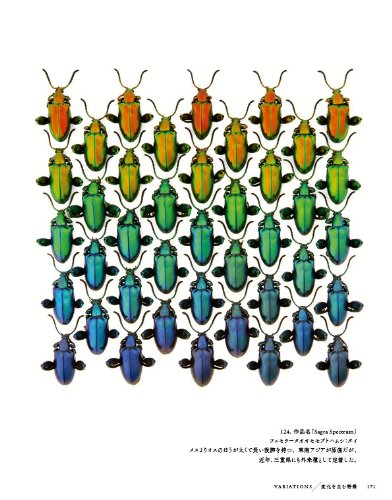 昆虫図鑑のおすすめ人気ランキング50選【2024年】 | マイベスト