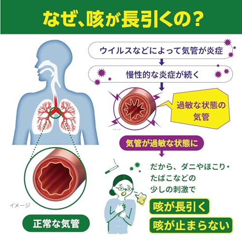ゴホナース 5
