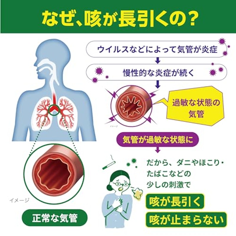 ゴホナース 5