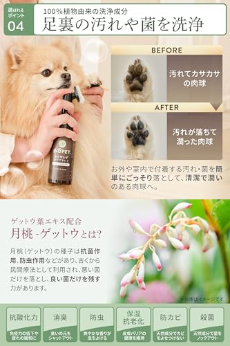 肉球専用泡シャンプー 6