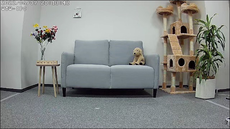 みてるちゃん猫23 2