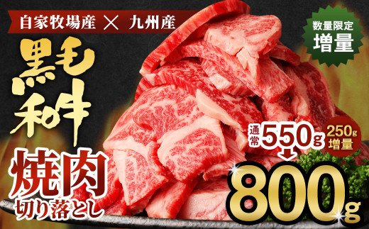 2022年】牛肉のふるさと納税返礼品のおすすめ人気ランキング35選 | mybest