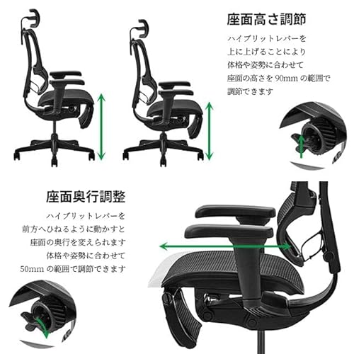 Fit2 Lite 3