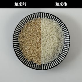 ツインバード コンパクト精米器 精米御膳 MR-E751Wをレビュー!クチコミ・評判をもとに徹底検証 5
