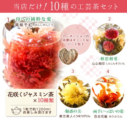 工芸茶詰め合わせ10種セット 5