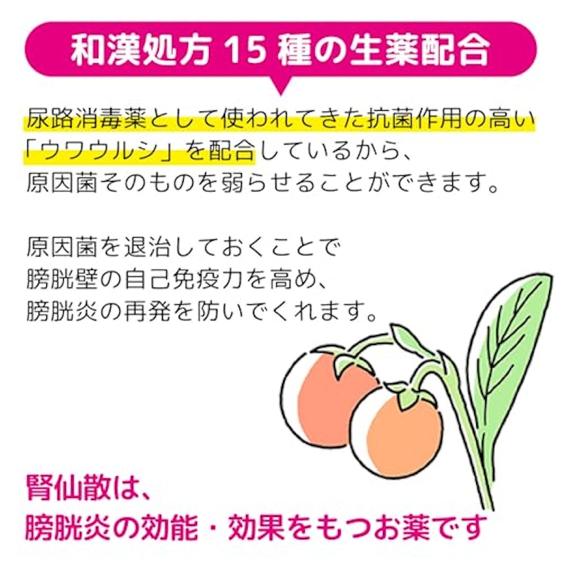 腎仙散 6
