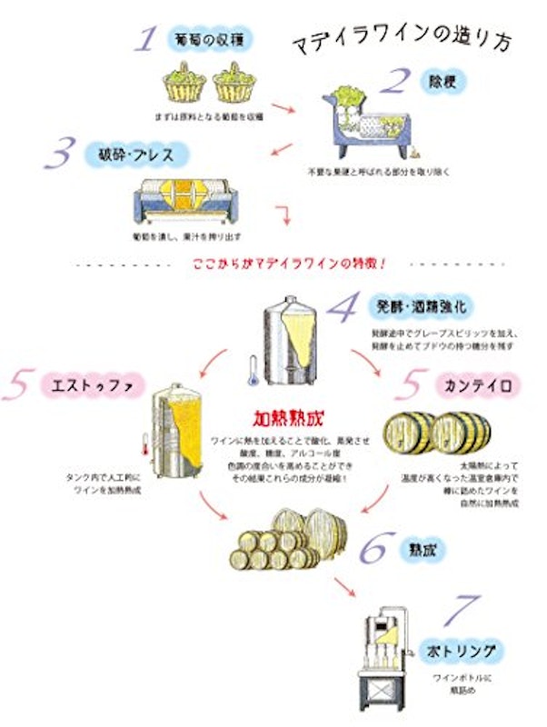 マデイラ ブアル 10年 4