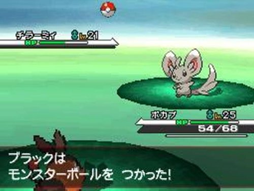 ポケットモンスター ホワイト 2