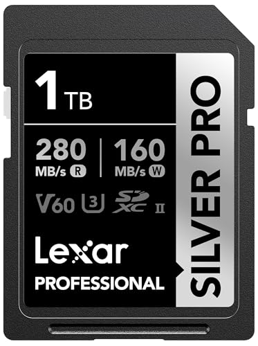 Professional SILVER PRO SDXC UHS-II Card 1