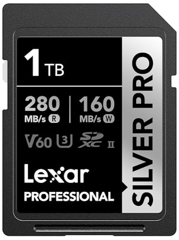 Professional SILVER PRO SDXC UHS-II Card 1