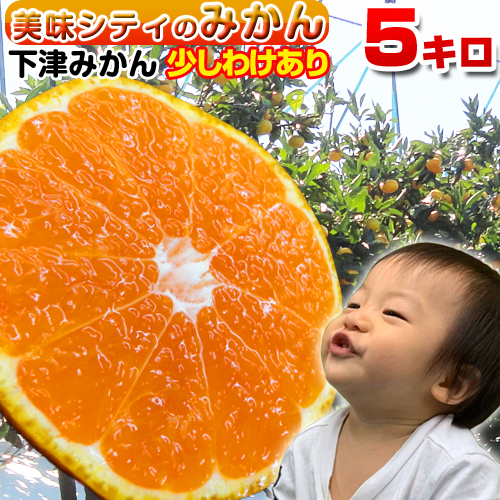 下津みかん少しわけあり 1