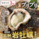 宮崎県延岡市 延岡産天然岩牡蠣 生食用 1