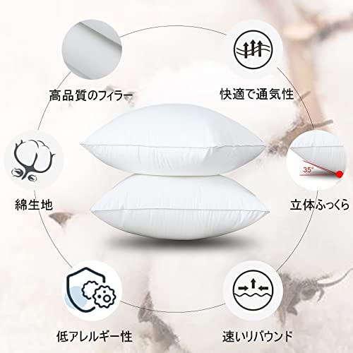 ヌードクッション 2