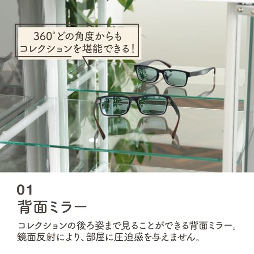 コレクションケース 4