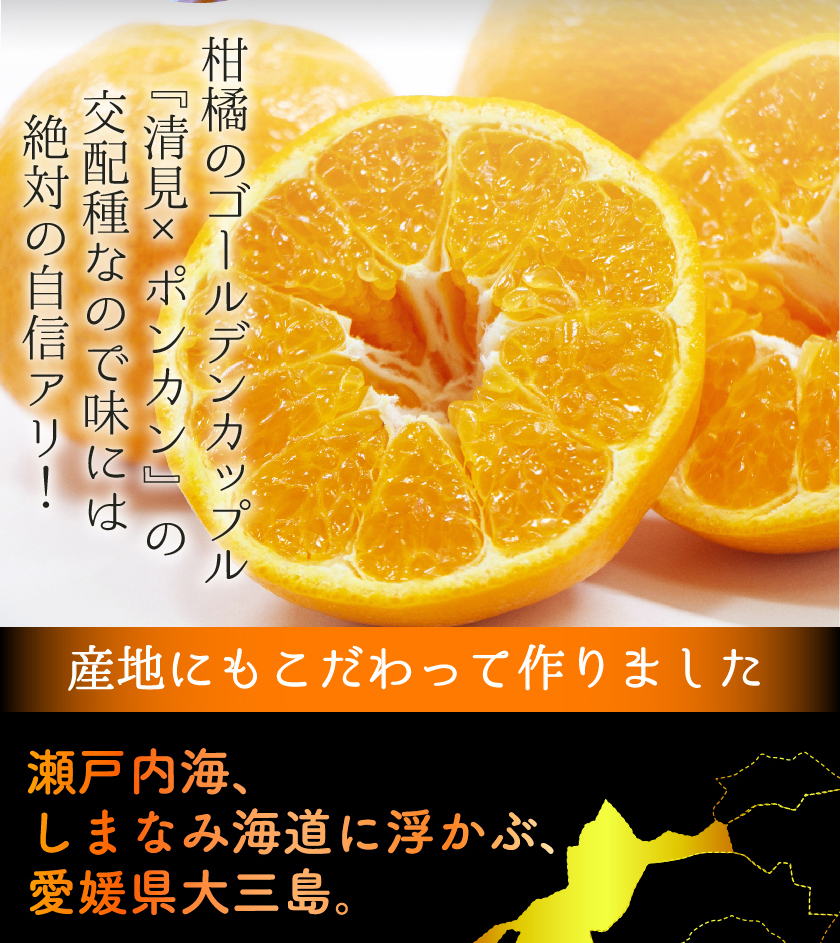 はるみ 訳あり 4