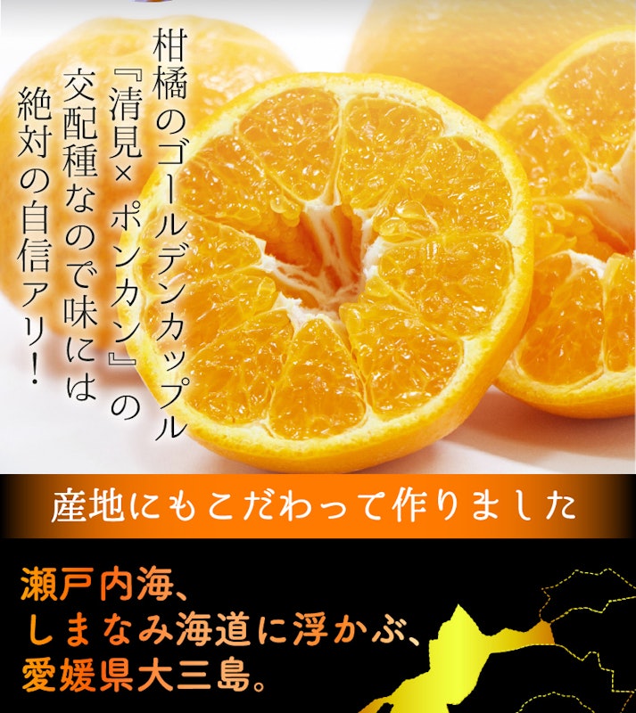 はるみ 訳あり 4