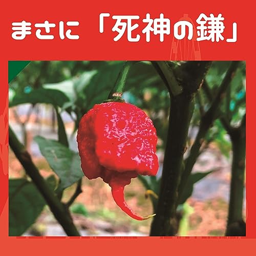 キャロライナ リーパー  3