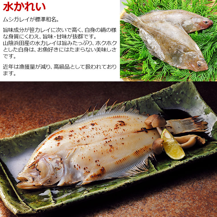 干物セット 9