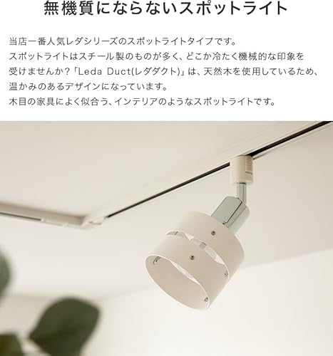 スポットライト 1灯 レダダクト 2