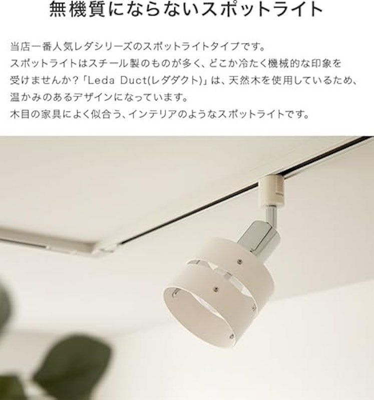 スポットライト 1灯 レダダクト 2
