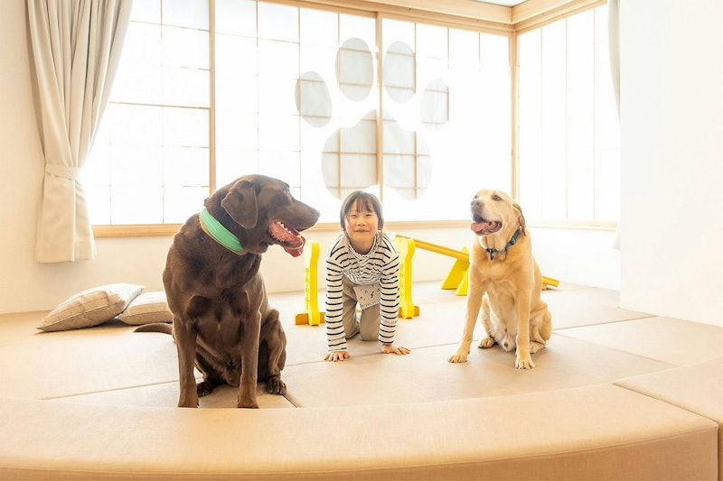 小松家 八の坊 3