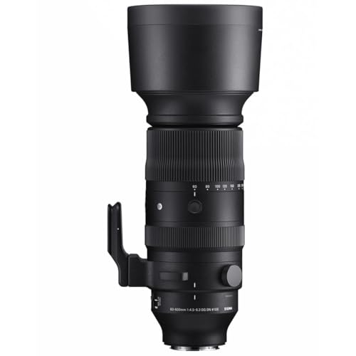 60–600mm F4.5–6.3 DG DN OS 1
