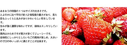 あまおう デラックス 4