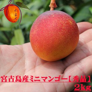 マンゴーのおすすめ人気ランキング【2026年5月】 5