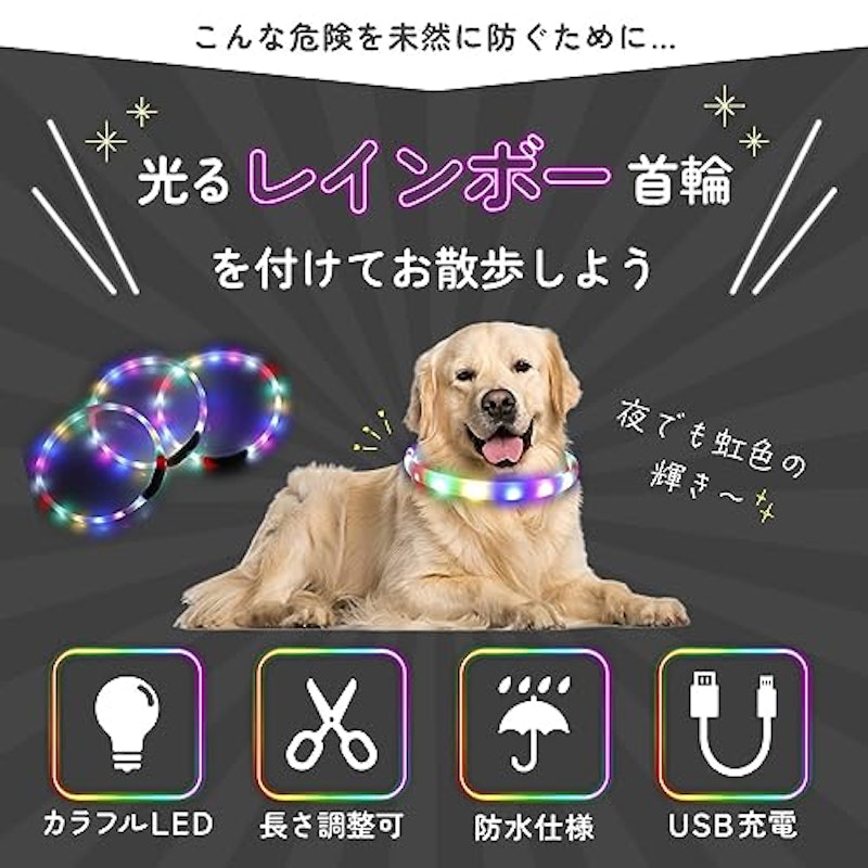 ペットの光る首輪 3