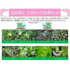 ビオトープにおすすめの水草人気ランキング15選 Mybest ビオトープにおすすめの水草人気ランキング15選 Mybest