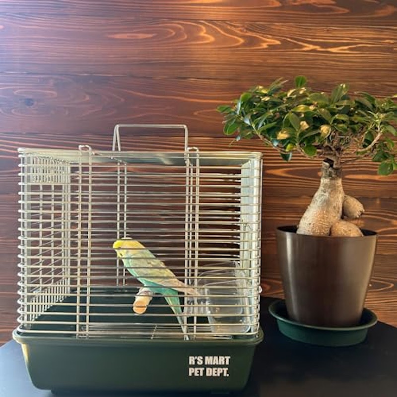 鳥籠 2