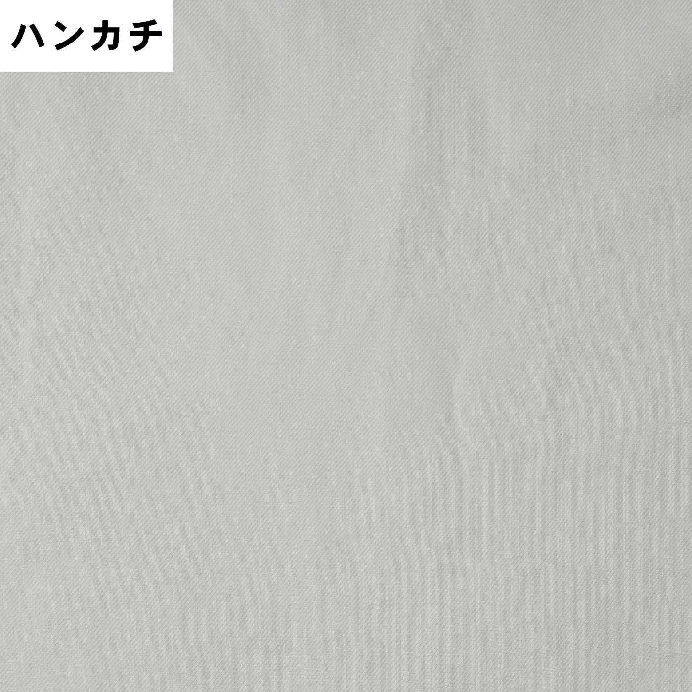 衣類用スチーマー 12