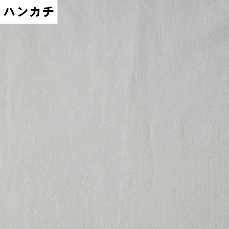 衣類用スチーマー 12