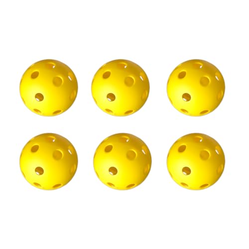 ピックルボール 1