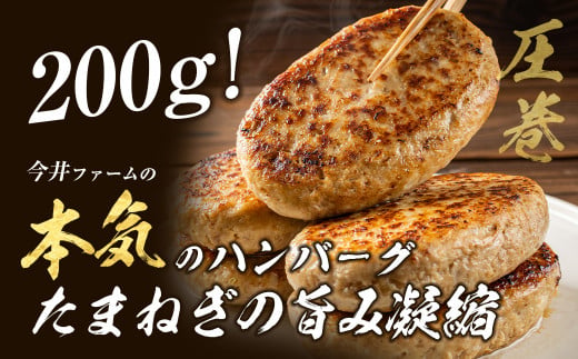 淡路島たまねぎハンバーグ 3