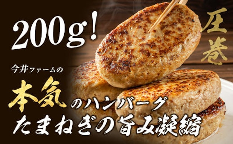 淡路島たまねぎハンバーグ 3