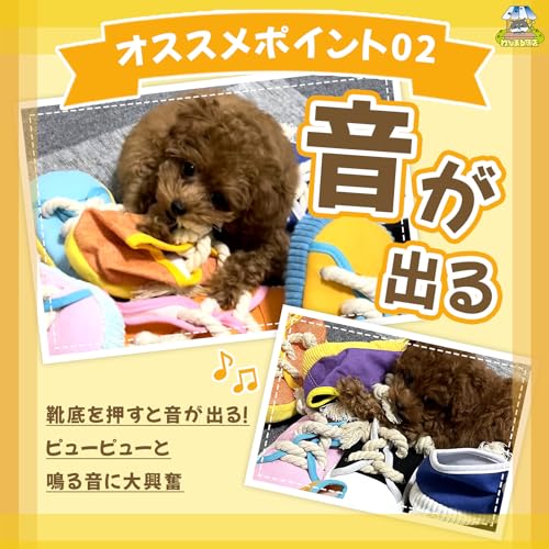 いたずらスニーカー 5