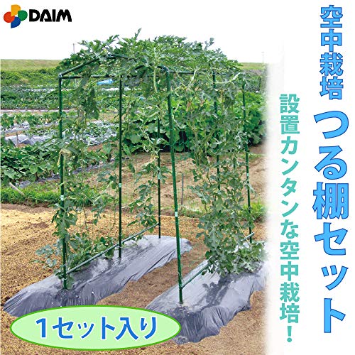 空中栽培 つる棚セット 2