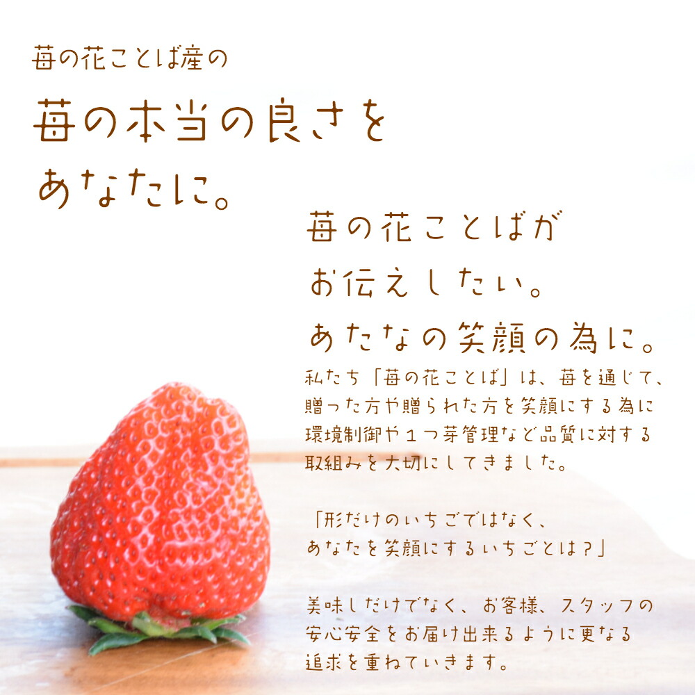 雪国完熟いちご越後姫桃薫食べ比べセット 10