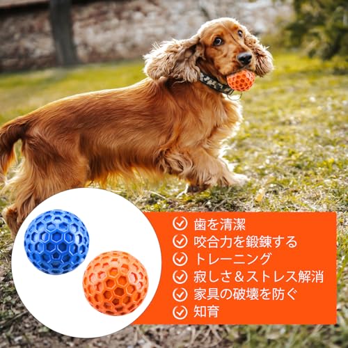 ボール 5