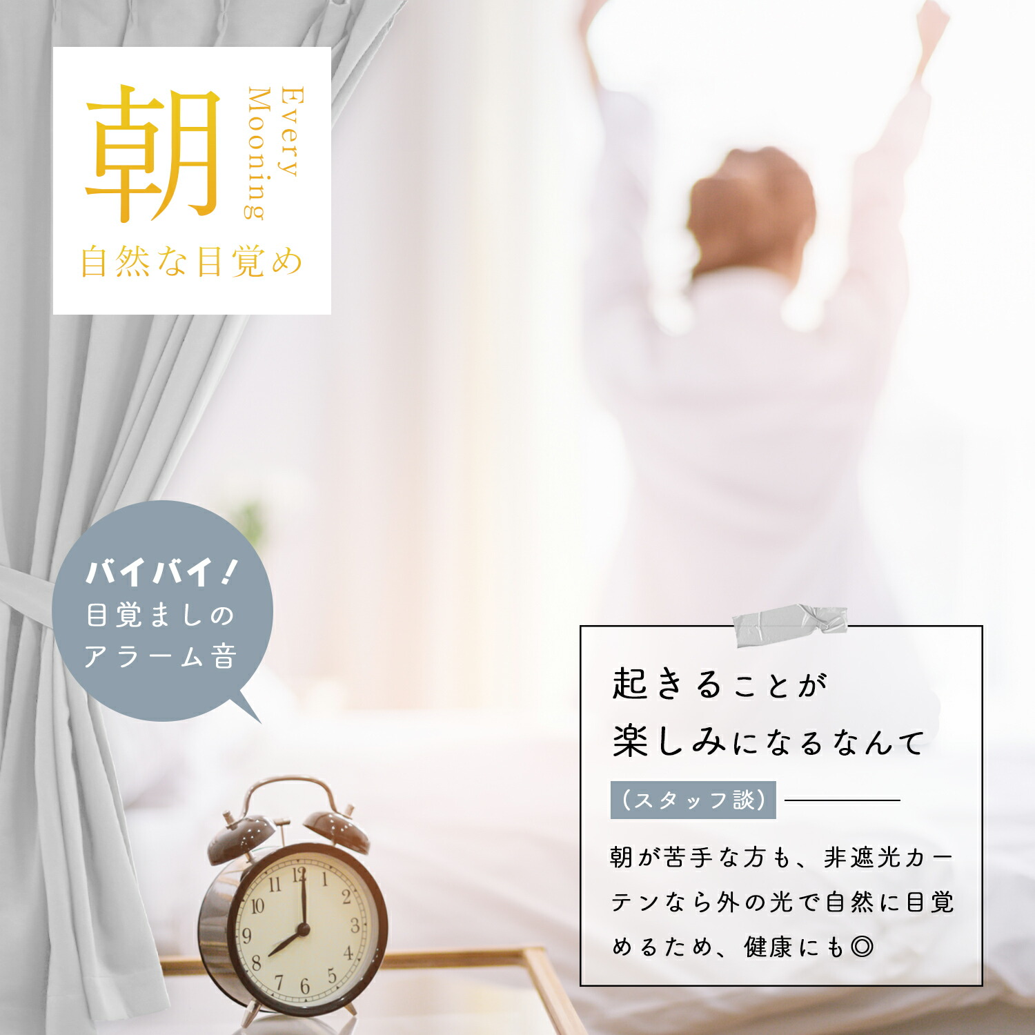 シャイナ 5