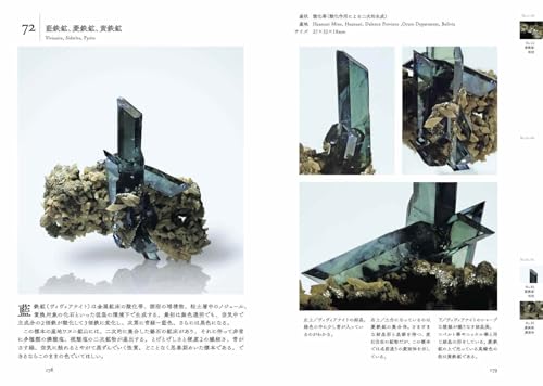 美しい共生鉱物の図鑑 7