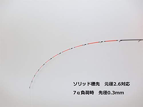 筏カセ竿 9