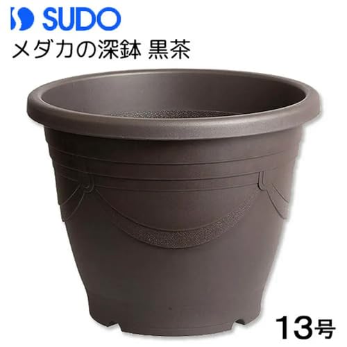 メダカの深鉢 黒茶 13号 5